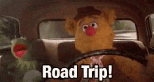 Kermit The Frog And Fozzie Bear Are Sitting In The Back Seat Of A Car And They Are Going On A Road Trip . GIF