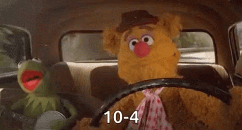 Kermit the Frog and Fozzie Bear Driving