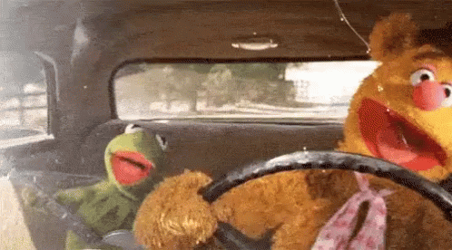 Kermit the Frog and Fozzie Bear Driving in Car