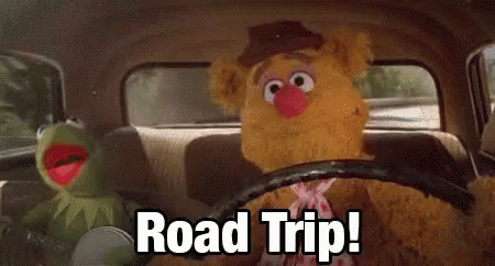 Kermit The Frog And Fozzie Bear From The Muppets Are Driving A Car And Saying Road Trip . GIF