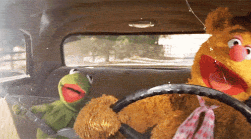 Kermit the Frog and Fozzie Bear in Car