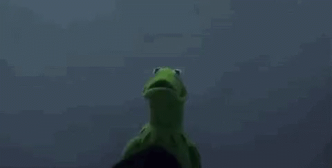 Kermit The Frog And Grim Reaper Are Standing Next To Each Other In The Dark And Looking At Each Other . GIF