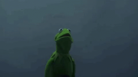 Kermit The Frog And Grim Reaper Are Standing Next To Each Other In The Dark Wearing Hoods . GIF