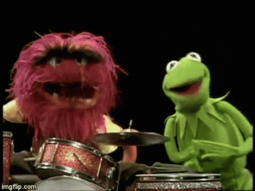 Kermit The Frog And Muppets Animal Bad Pun GIF