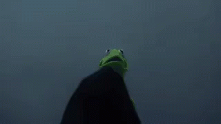 Kermit The Frog And The Grim Reaper Are Standing Next To Each Other And The Grim Reaper Is Wearing A Black Hood . GIF