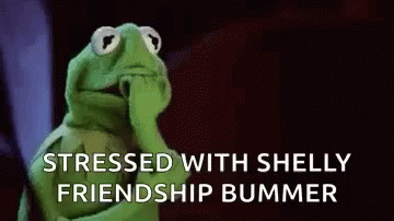 Kermit The Frog Bummer GIF