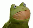 Kermit The Frog Dancing Body Shake GIF
