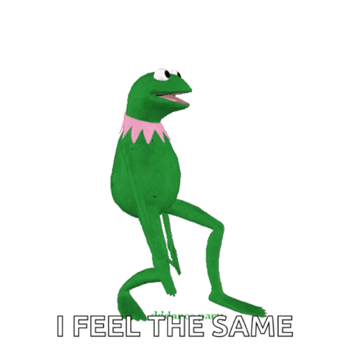 Kermit The Frog Dancing I Feel The Same GIF
