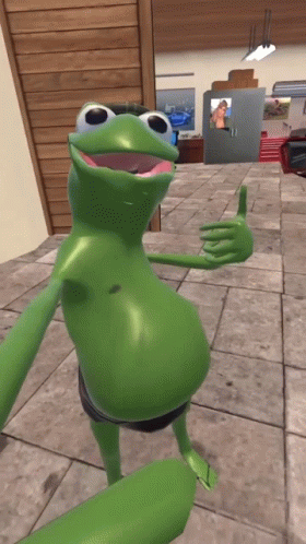 Kermit The Frog Dancing Selfie GIF