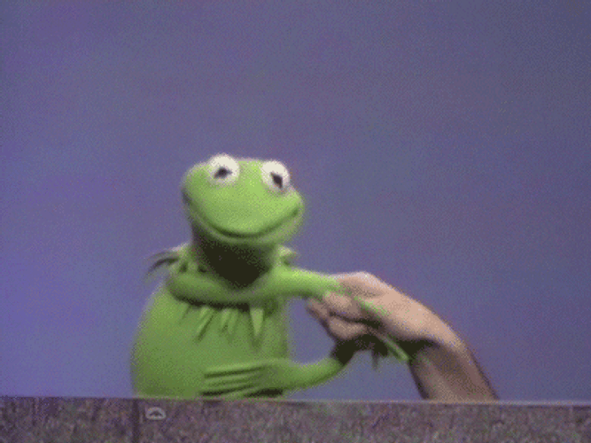 Kermit The Frog Deal GIF