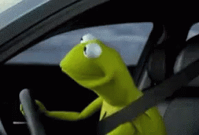 Kermit the Frog Driving a Car With Seatbelt