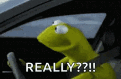 Kermit the Frog Driving Car Says Really