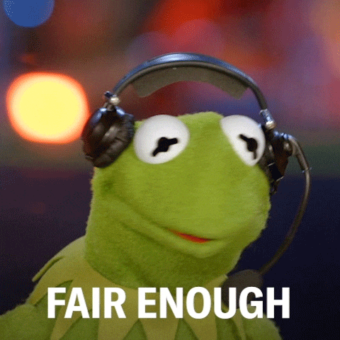 Kermit The Frog Fair Enough Meme GIF