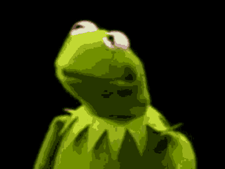 Kermit The Frog Looking At Camera GIF