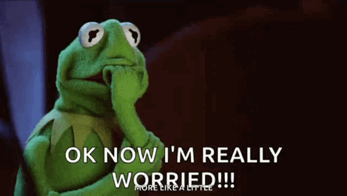 Kermit The Frog Hand-On-Face Ok Now I'm Worried GIF