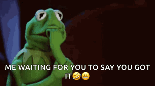 Kermit The Frog Hand To Mouth Saying Me Waiting For You To Say You Got It GIF