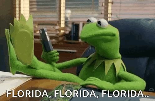 Kermit the Frog Holding Cell Phone Saying Florida Florida Florida