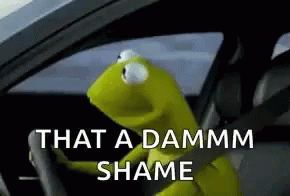 Kermit The Frog In Driver Seat Saying That A Damm Shame GIF