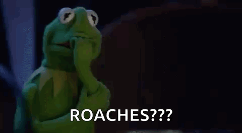 Kermit The Frog Is Covering His Face With His Hand And Saying Roaches . GIF