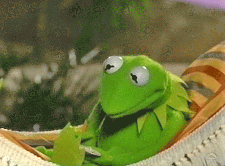 Kermit The Frog Is Laying In A Hammock With A Coin In His Mouth . GIF