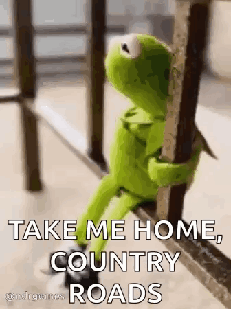 Kermit The Frog Is Sitting On A Railing Holding Onto A Railing And Saying `` Take Me Home Country Roads '' . GIF