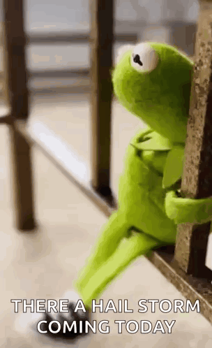 Kermit The Frog Is Sitting On A Railing With The Words `` There A Hail Storm Coming Today '' Written On It . GIF