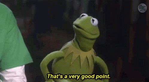 Kermit The Frog Is Standing In Front Of A Person And Saying `` That 'S A Very Good Point '' . GIF