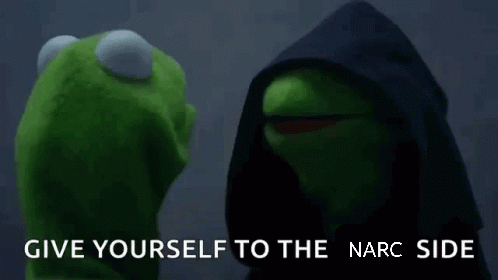 kermit the frog is standing next to a muppet wearing a black hooded jacket .