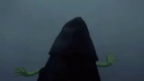 Kermit The Frog Is Standing Next To A Person In A Black Hood . GIF