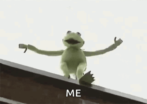 Kermit The Frog Is Standing On The Edge Of A Building . GIF
