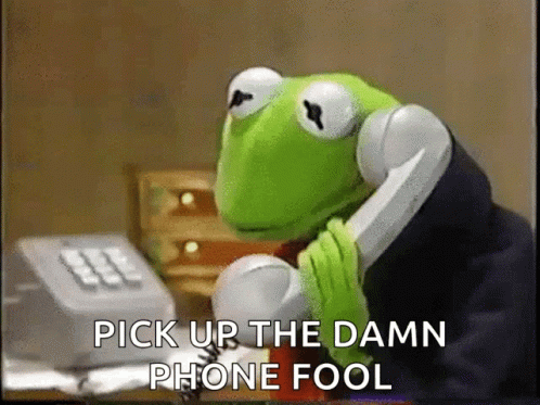 Kermit The Frog Is Talking On A Phone With The Words Pick Up The Damn Phone Fool Below Him GIF