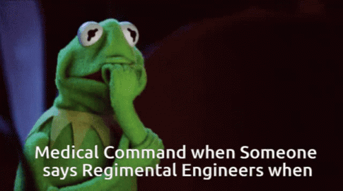 Kermit The Frog Is Thinking With The Words Medical Command When Someone Says Regimental Engineers When Below Him GIF