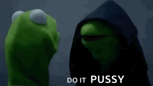 Kermit The Frog Is Wearing A Hooded Jacket And Talking To A Puppet . GIF