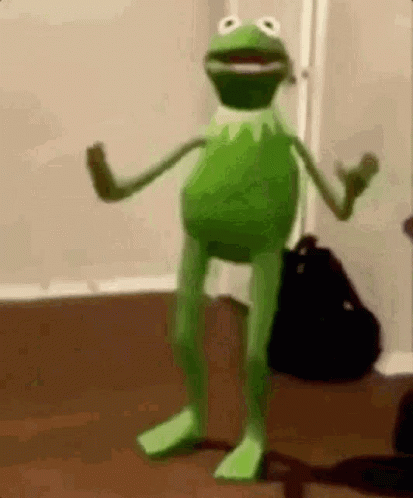 Kermit The Frog Long Legs GIF