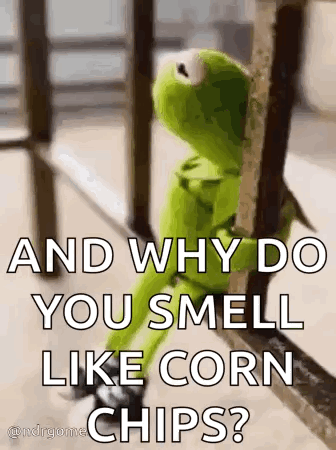 Kermit the Frog Looking Out Window on Railing