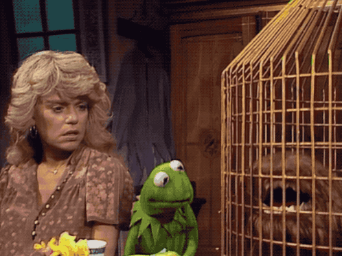 Kermit The Frog Next To Woman And Cage GIF