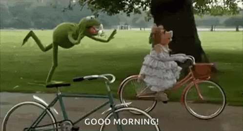 Kermit The Frog On Bicycle GIF