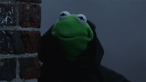 Kermit The Frog Peeking Meme GIF