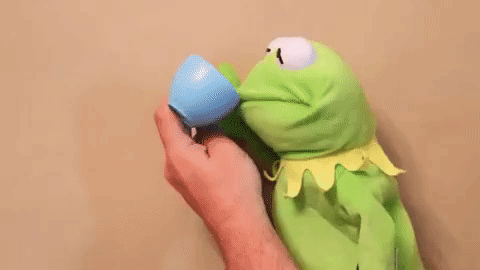 Kermit The Frog Puppet Tea Time Meme GIF