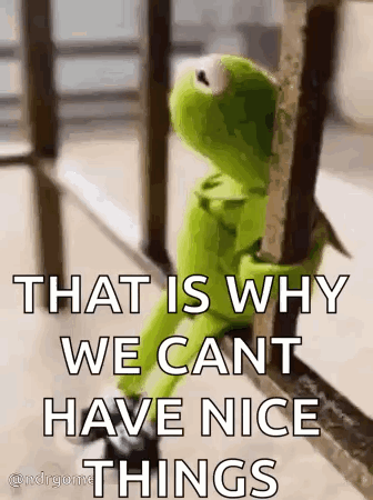 Kermit the Frog Saying We Cant Have Nice Things