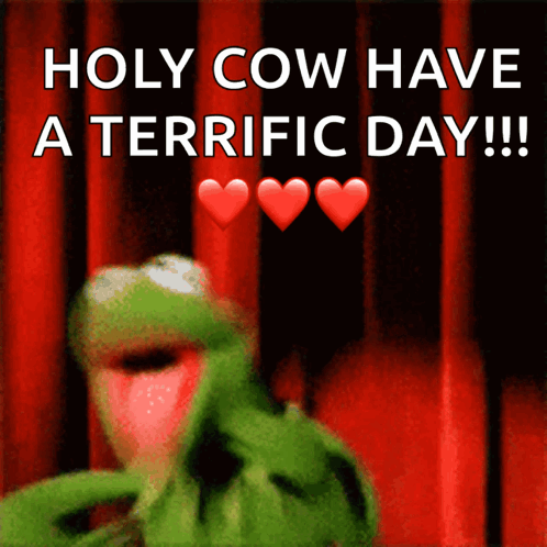 Kermit The Frog Saying Holy Cow Have A Terrific Day GIF