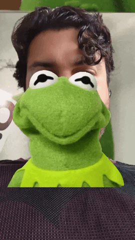 Kermit The Frog Shaking Face Swap Meme GIF