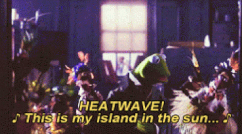 Kermit The Frog Singing " Heatwave This Is My Island In The Sun .. " GIF