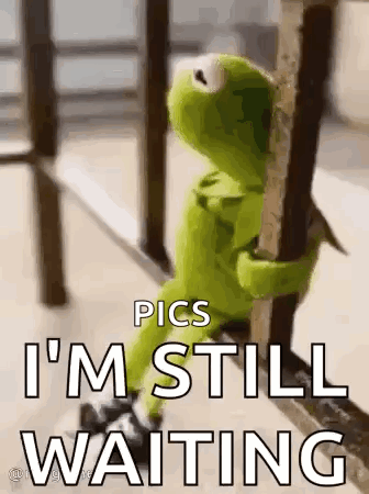 Kermit the Frog Sitting on Railing Saying I'm Still Waiting