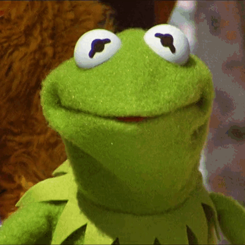 Kermit the Frog Smiling Looking Up