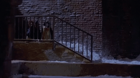 Kermit The Frog Snow Christmas Movie GIF