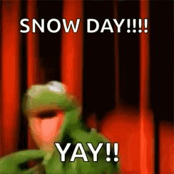 Kermit the Frog Snow Day Yay