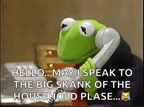 Kermit The Frog Talking On Phone GIF