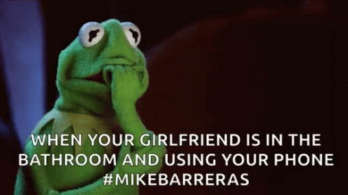 Kermit the Frog Thinking About Girlfriend in Bathroom