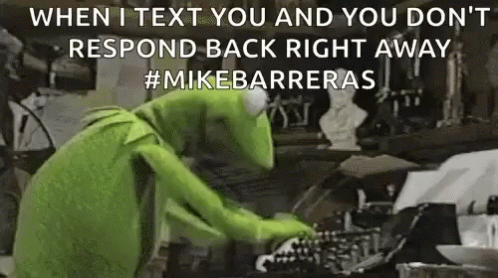 Kermit the Frog Typing on Typewriter
